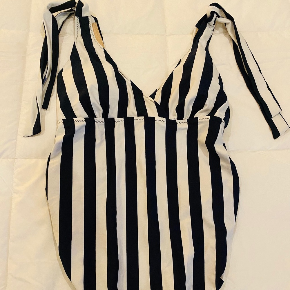 A Pea In The Pod Maternity Bathing Suit